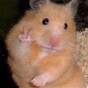 Meet your Posher, Amar